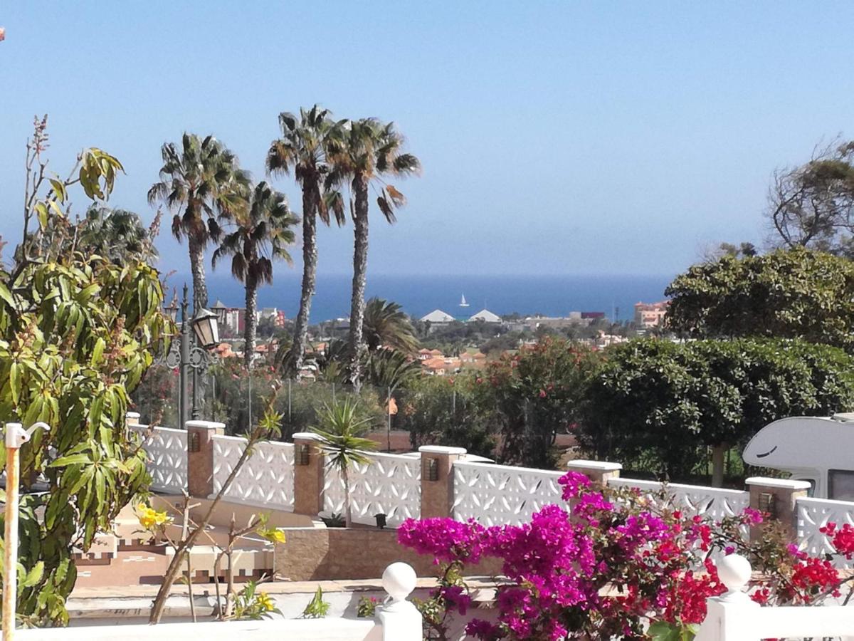 Villa Musica photo 1