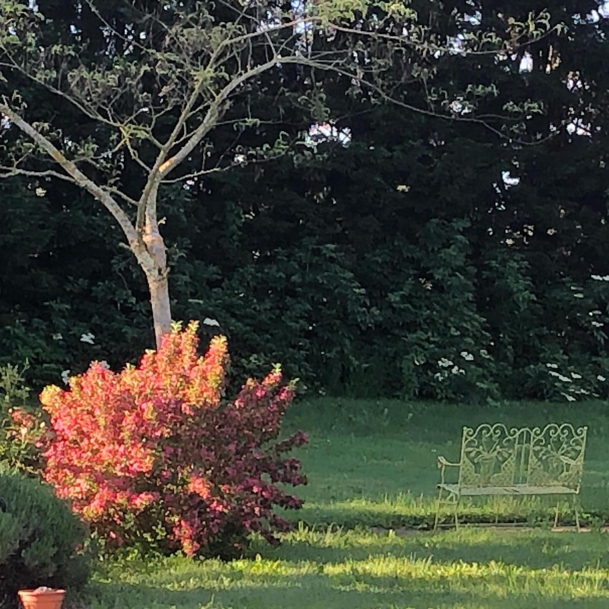 Domaine en castanet