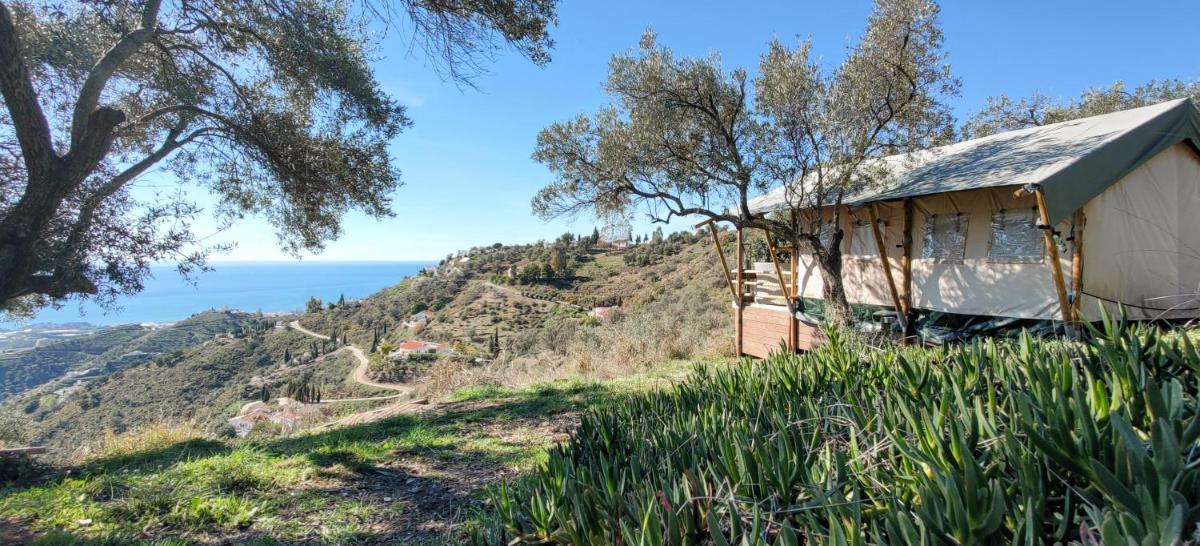 Campo Agave B&B