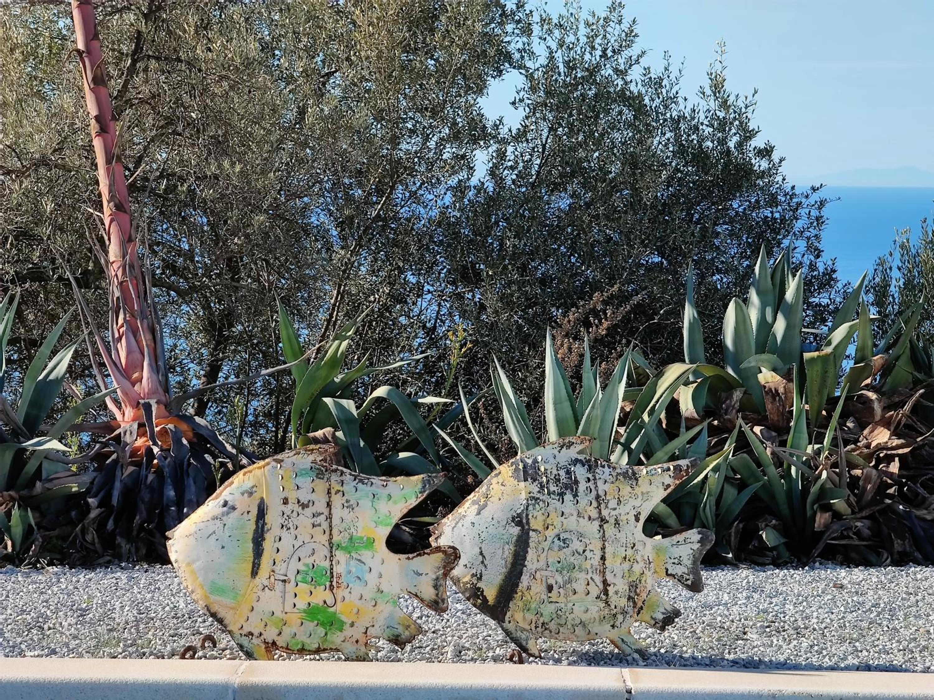 Campo Agave B&B