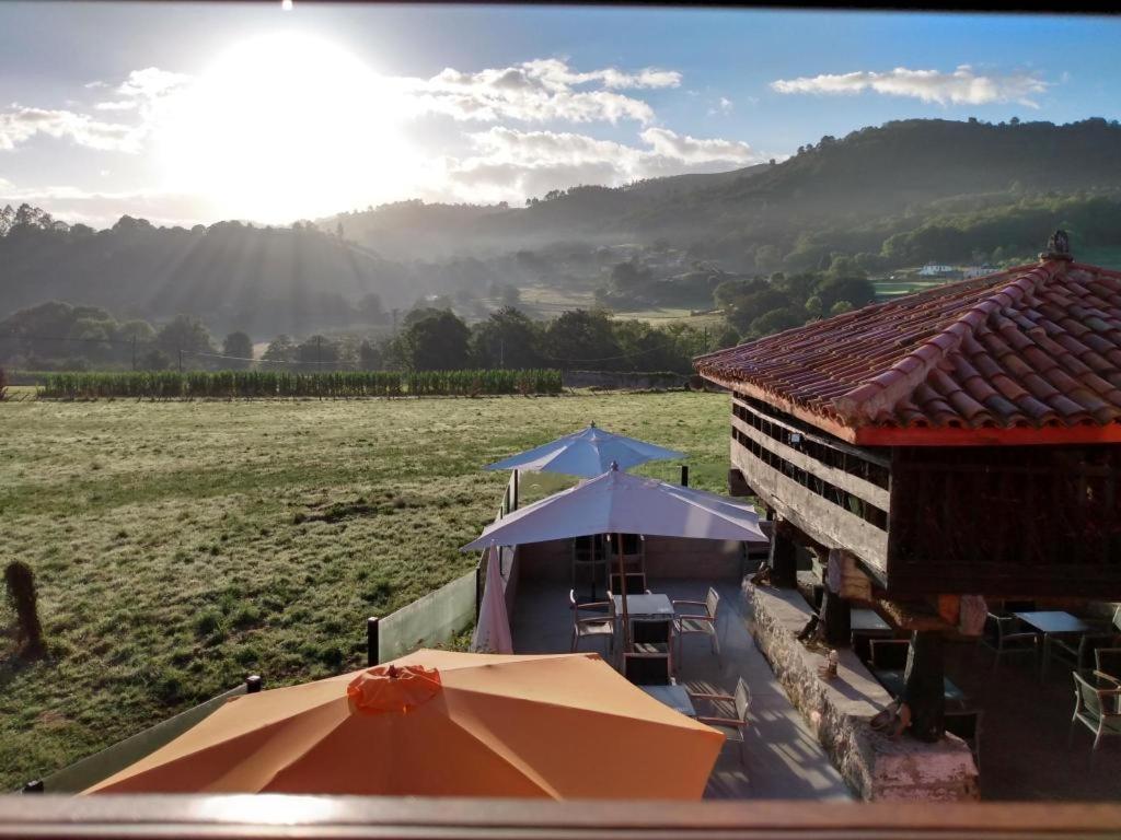 El Campo de Petra view 4