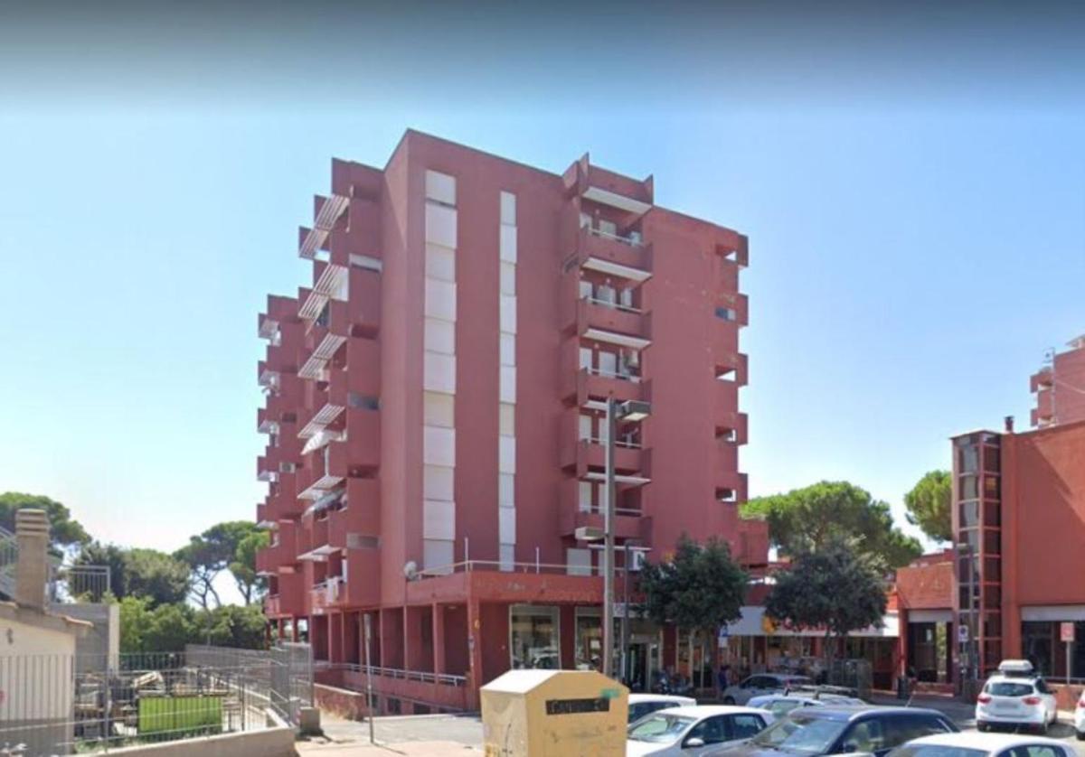 BOLINA e FIOCCO