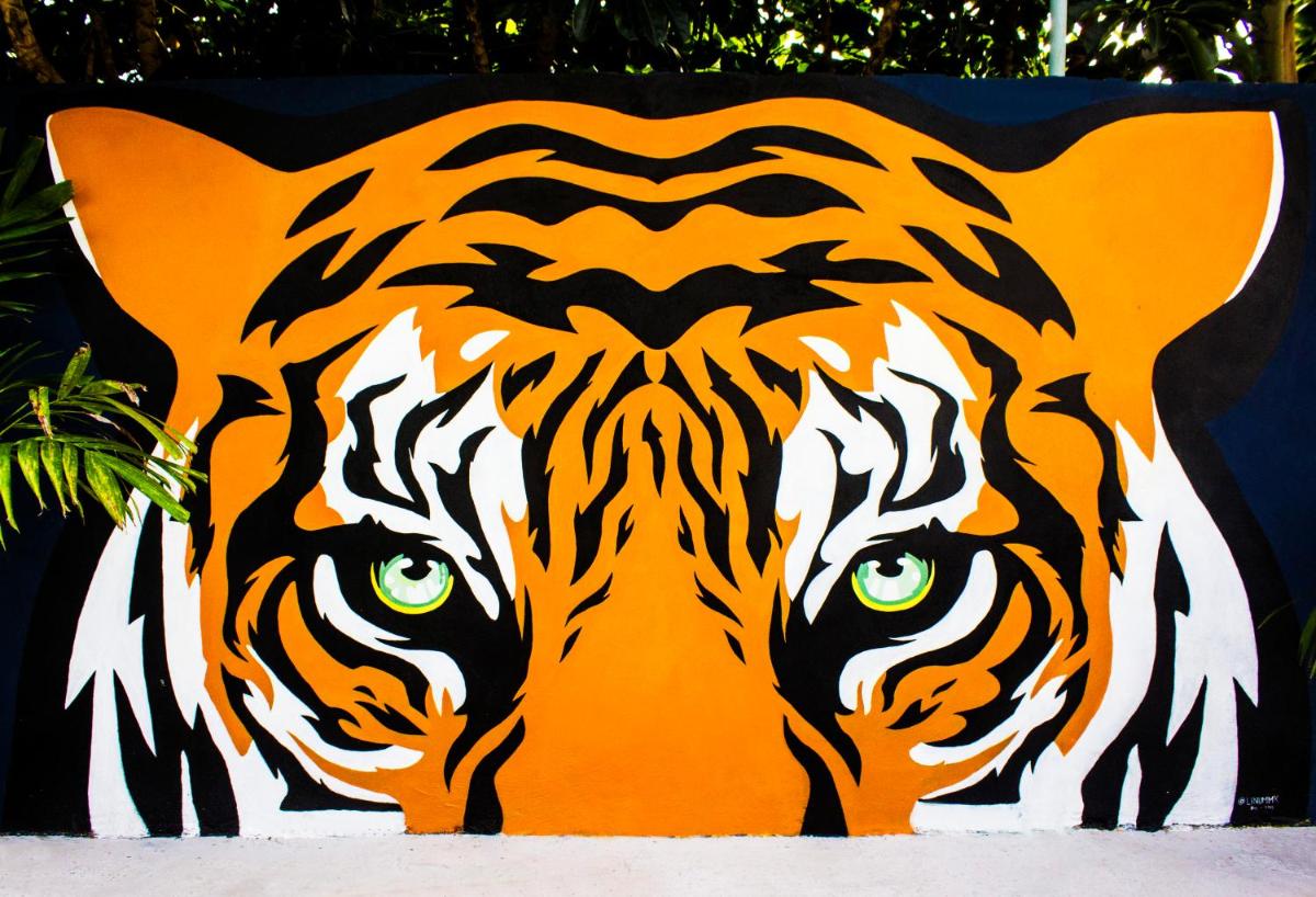 Hotel El Tigre de Santiago - Image 1