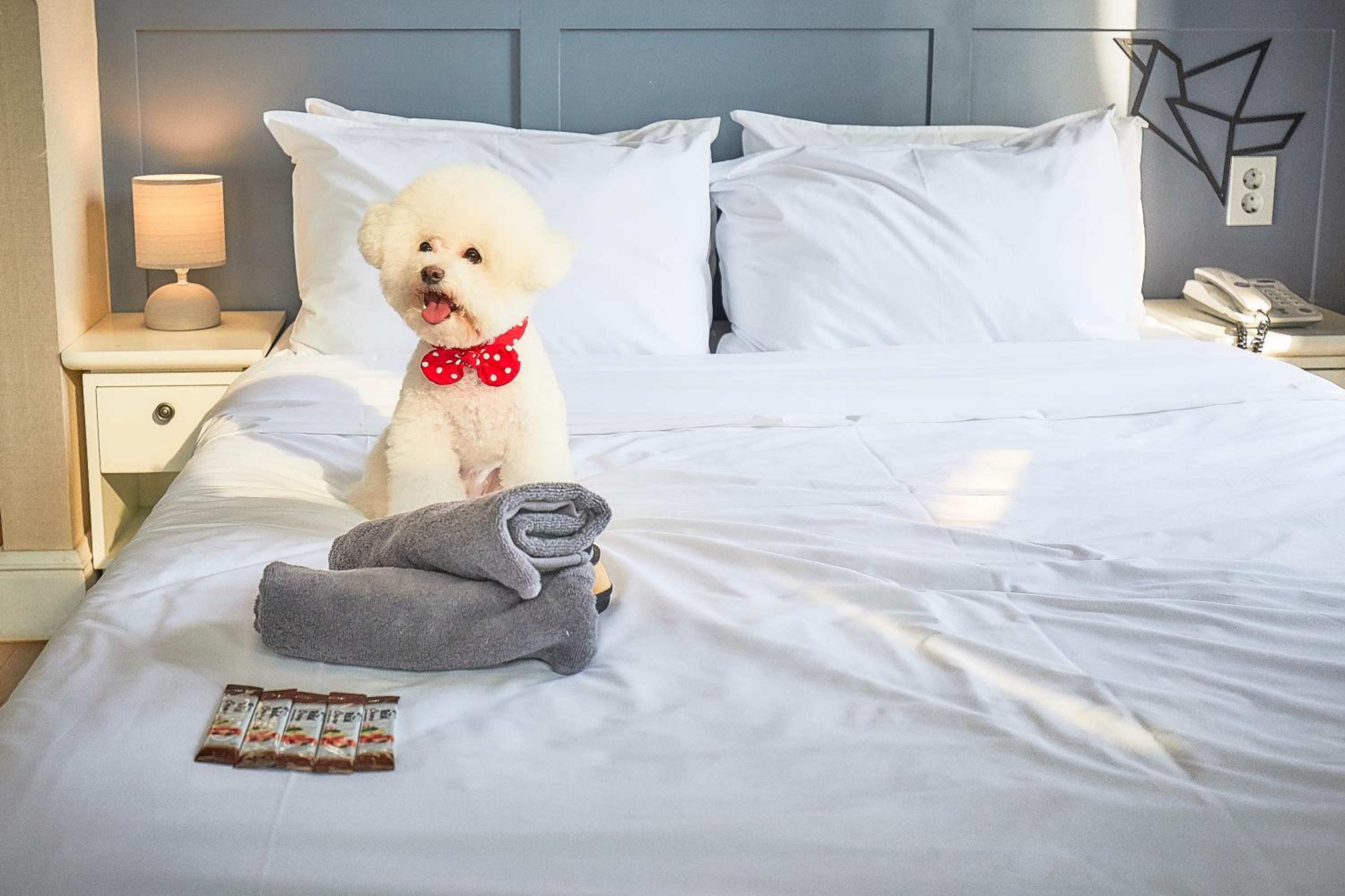 Hotel POCO Seongsu 74