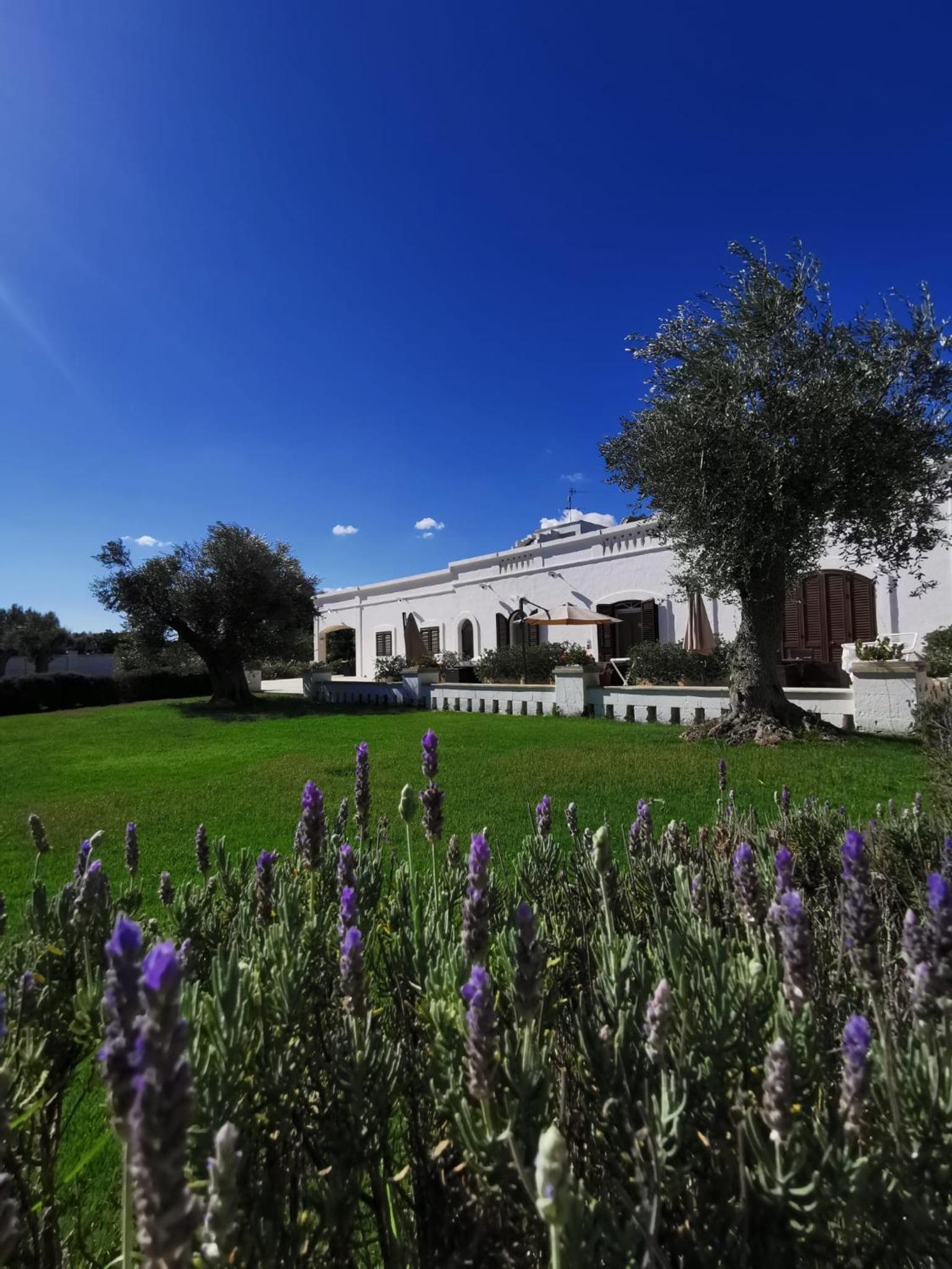 Masseria Bianca di Puglia photo 1