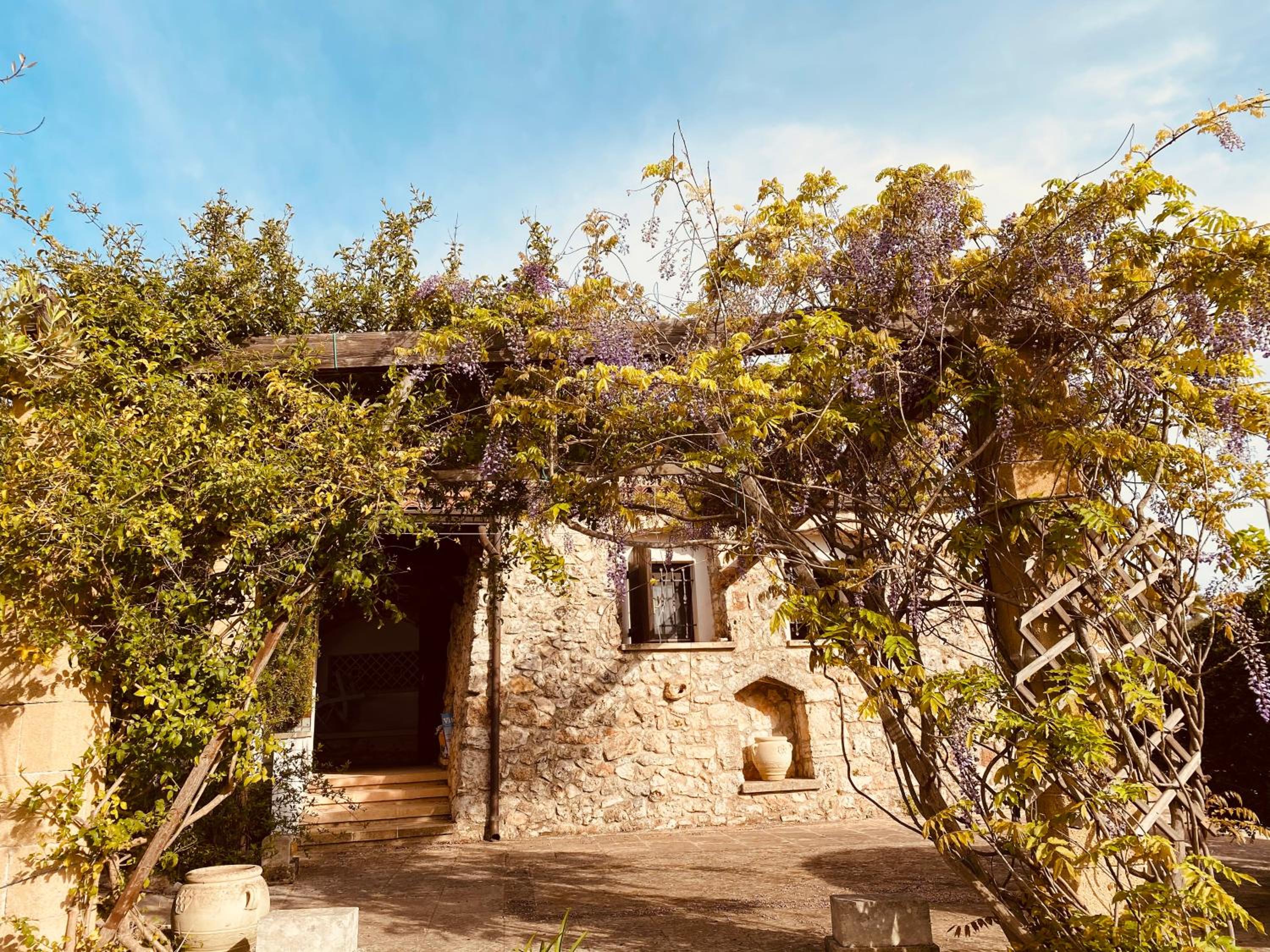 VIGNA VECCHIA