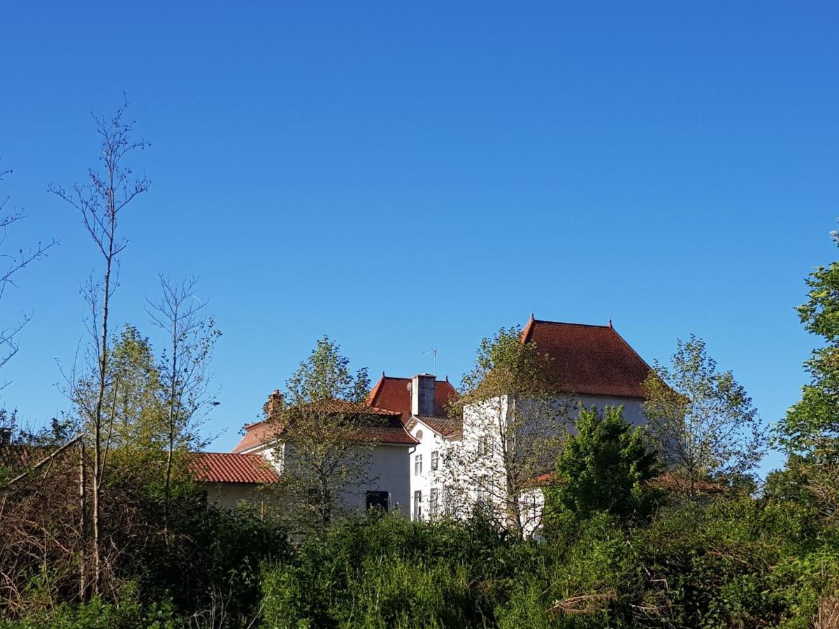 Photo 24