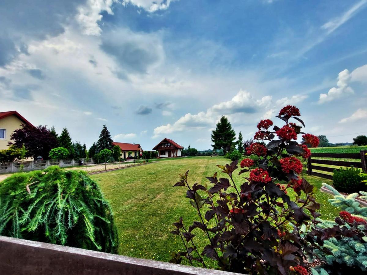 Agroturystyka Nadwarciańskie Siedlisko view 3