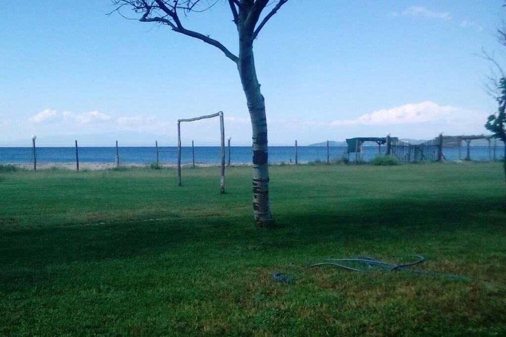 Wooden Beach House view 4