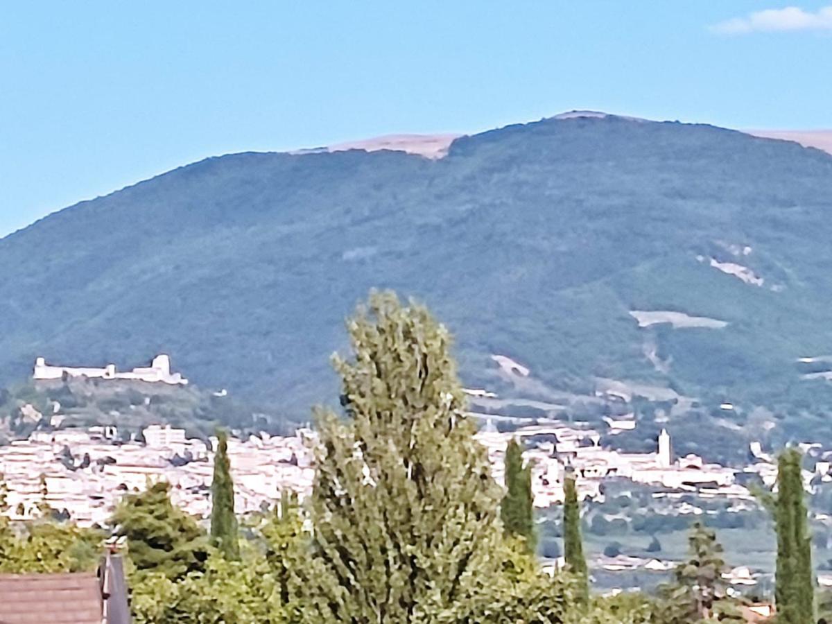 Casa Vacanza Le Nid d'Assise photo 1