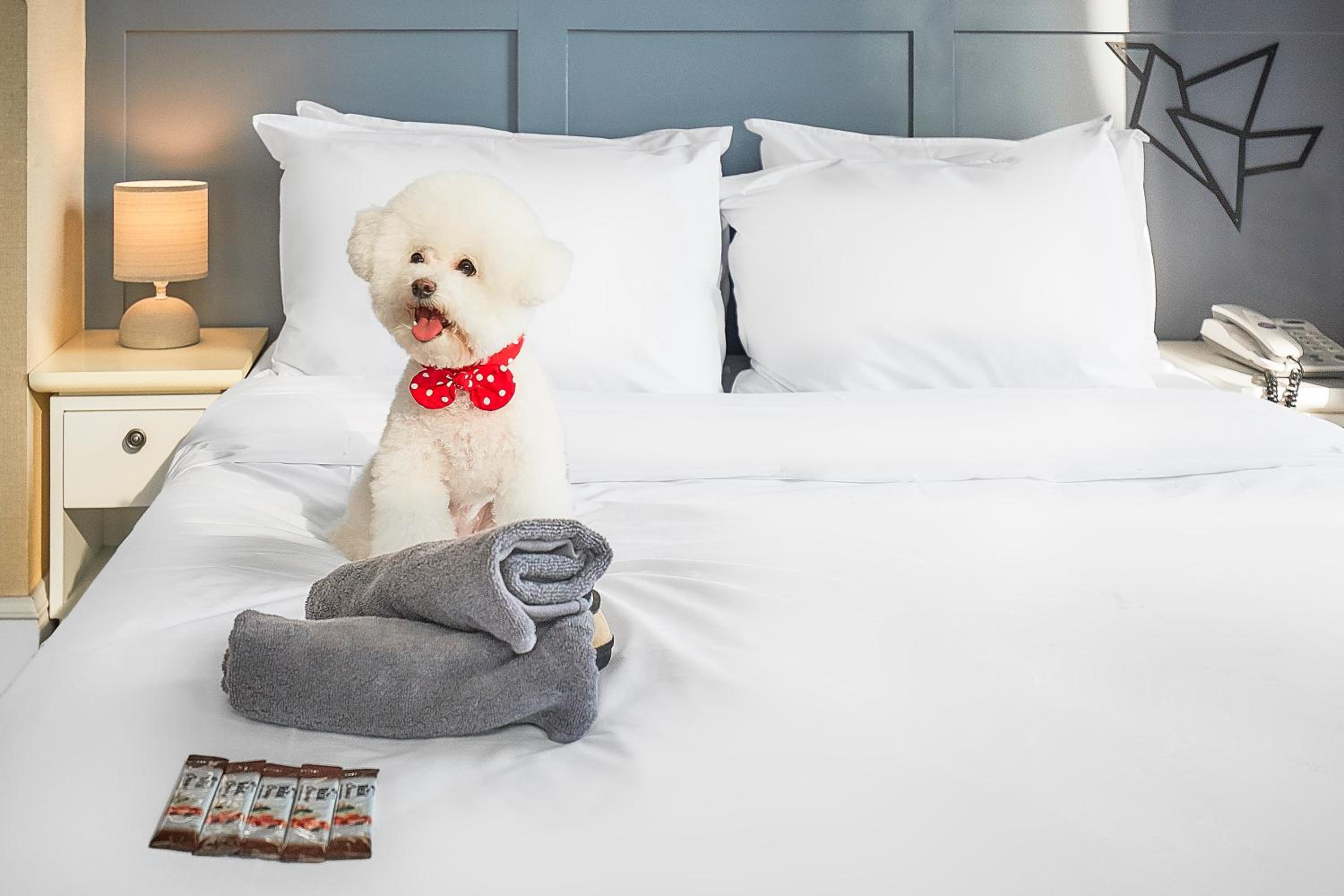 Hotel POCO Seongsu 81