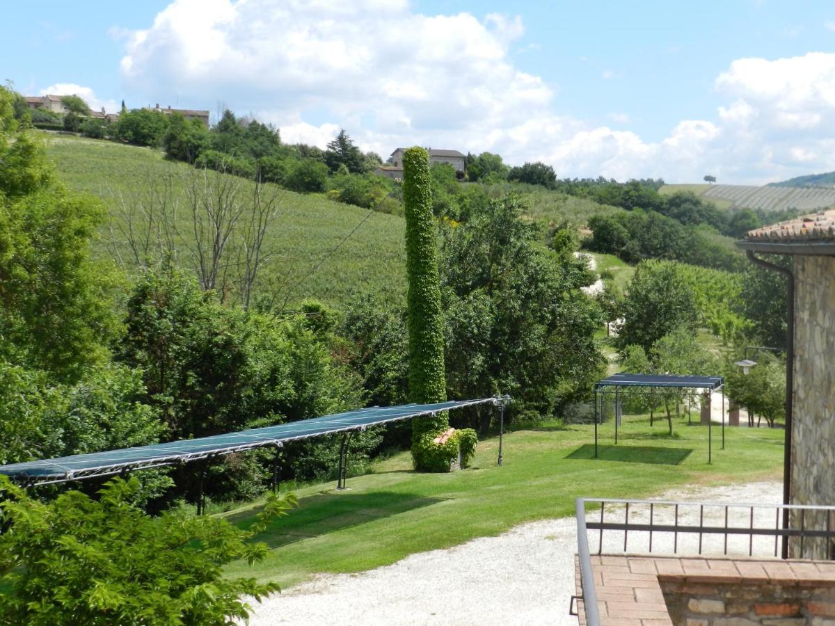 La Campagna Di Assignano