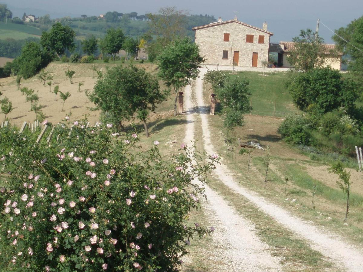 La Campagna Di Assignano