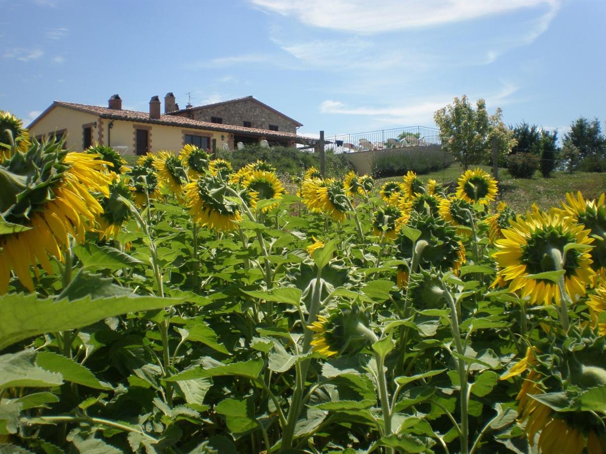 La Campagna Di Assignano