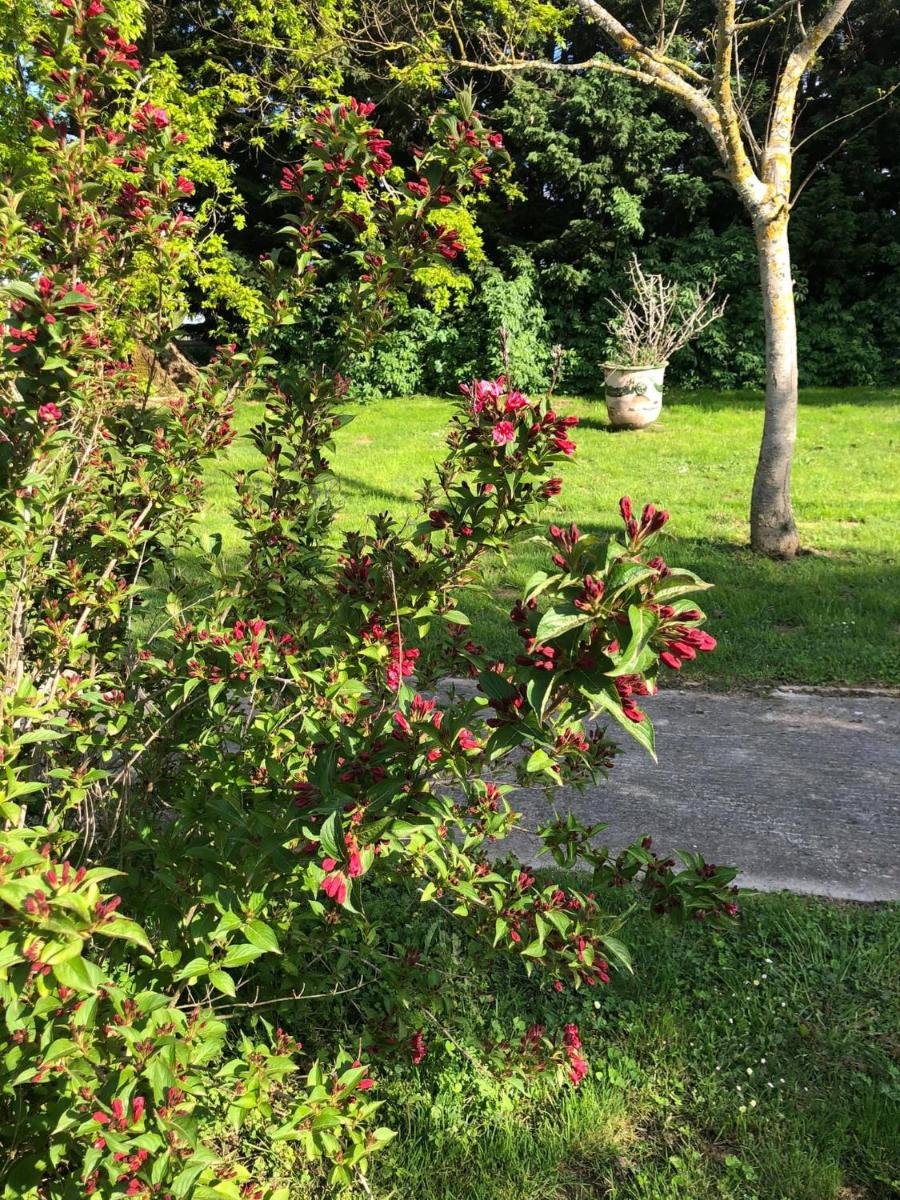 Domaine en castanet