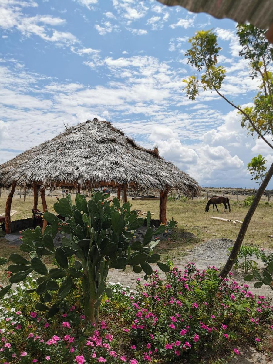 Pachingo Tatacoa Desert