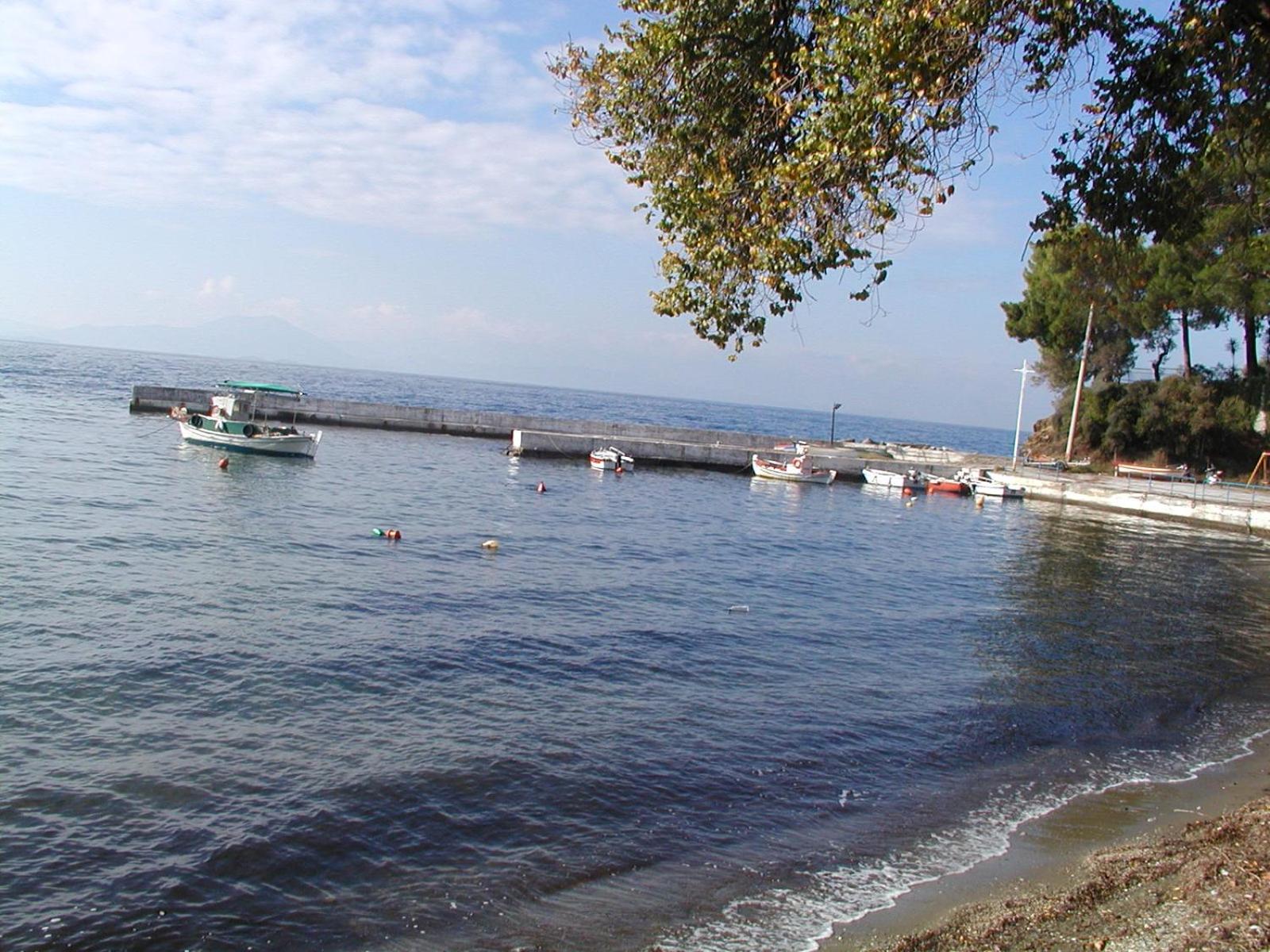 Photo 49