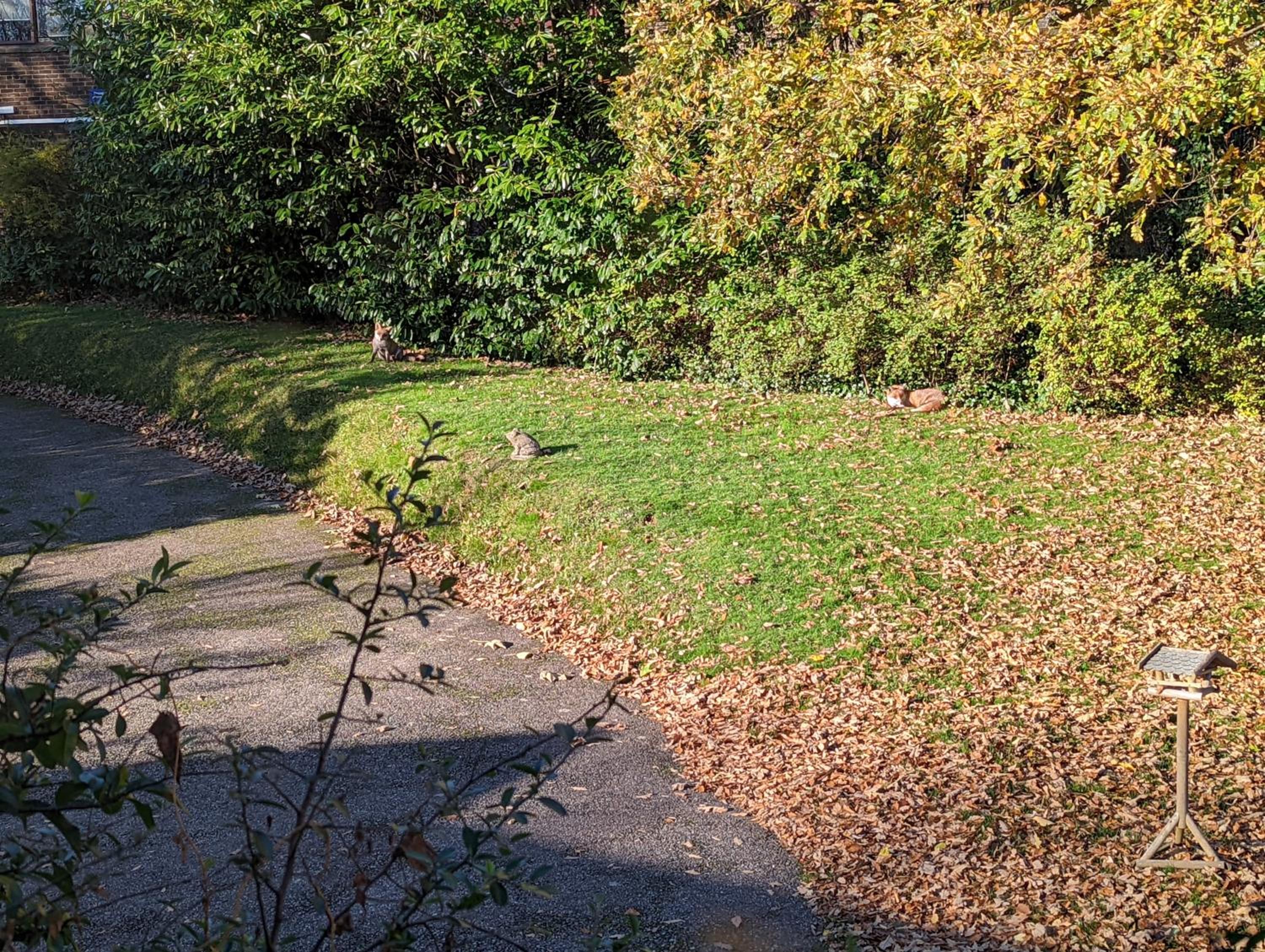 Hastings Vacations - Summerfields House - Property Image 1