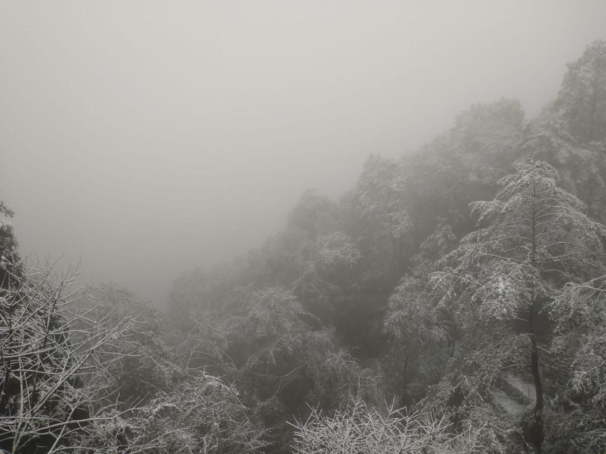 Hotel Himalaya Residency kanchenjunga view