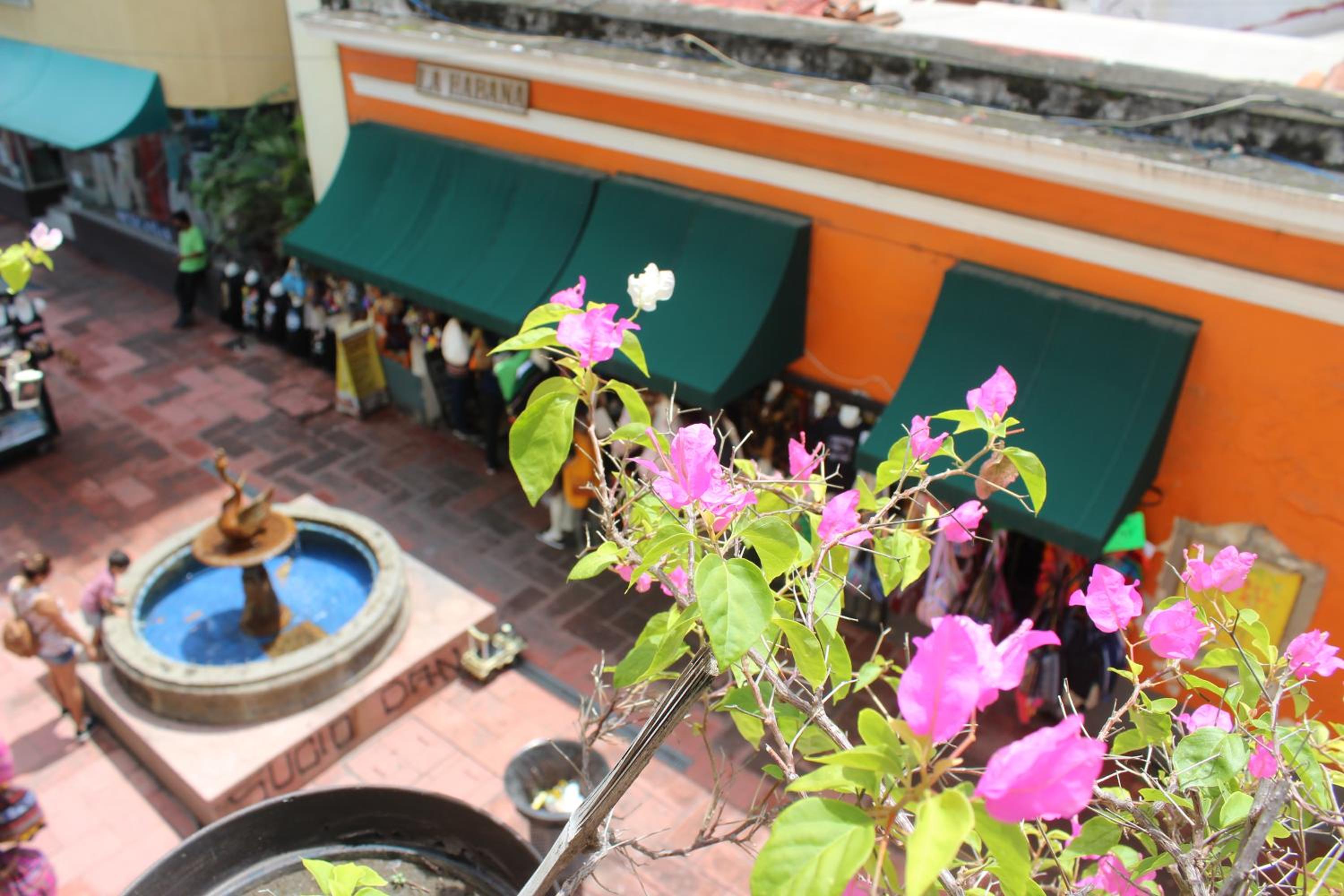 outdoor BBQ area