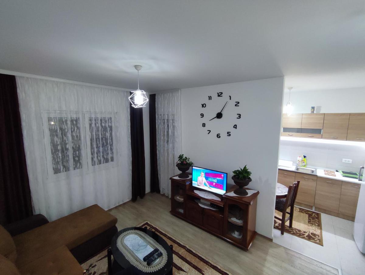 Apartment Sailor photo 1