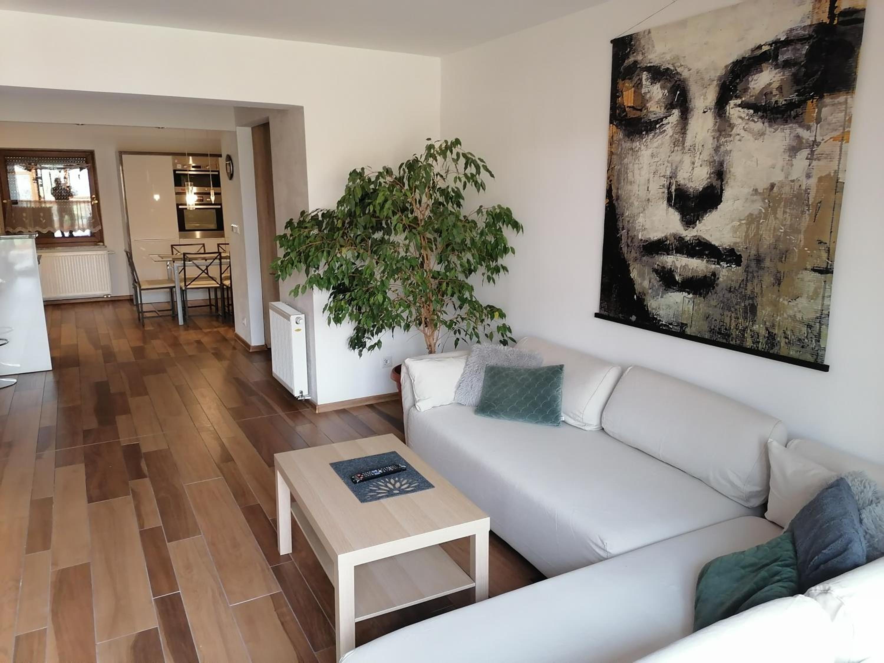 Apartamenty pod Dzikowcem