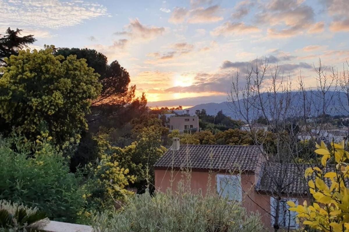 Quiet apartment with terrace & pool - Cannes photo 1