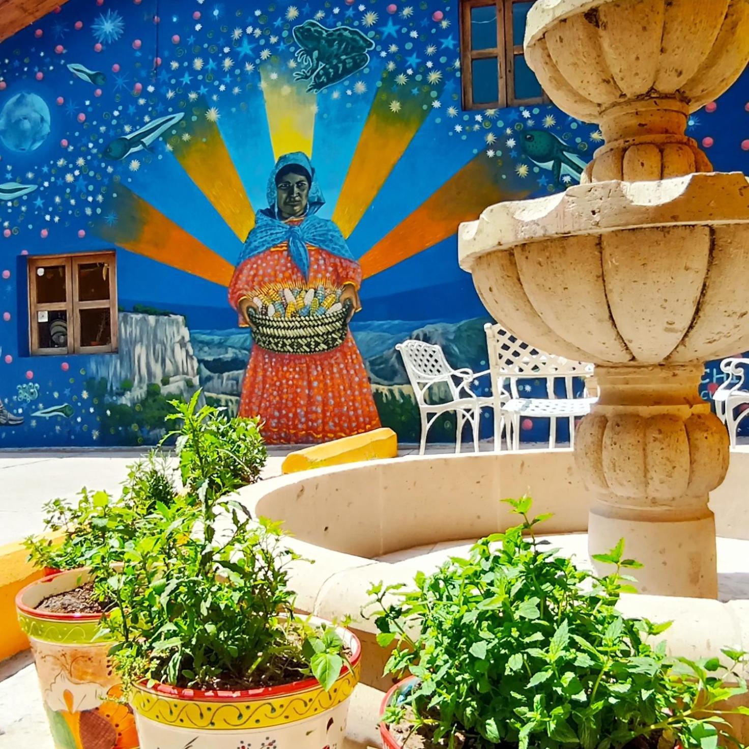 garden