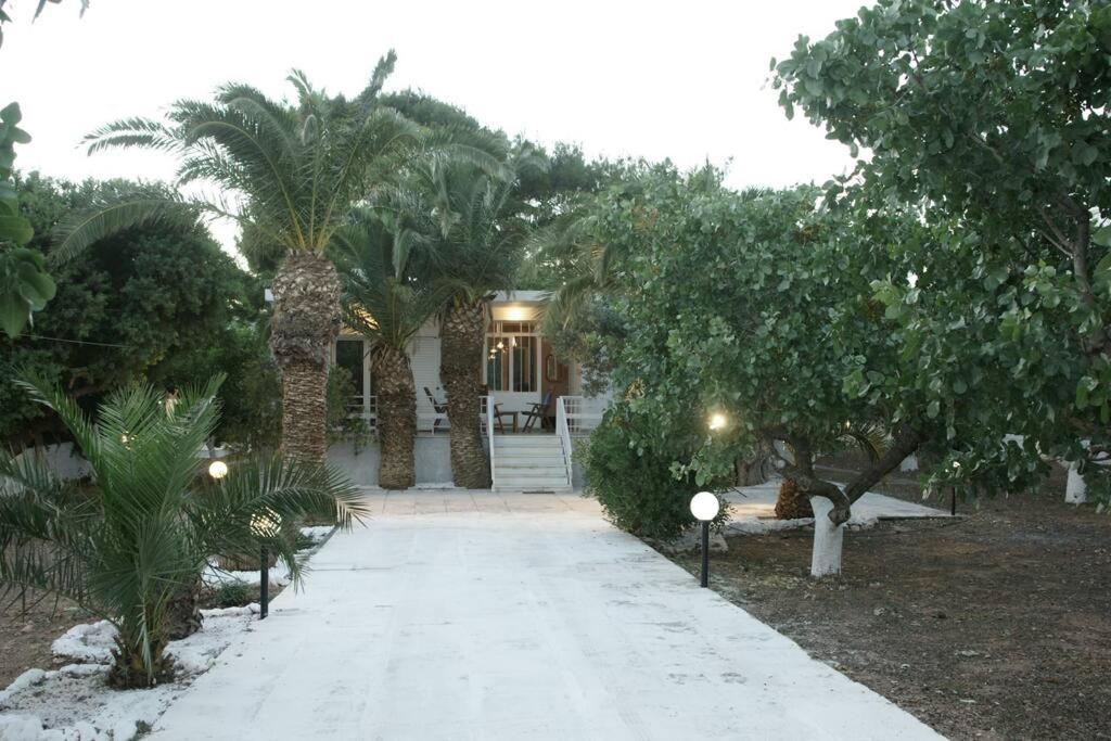Palmie Cottage photo 1