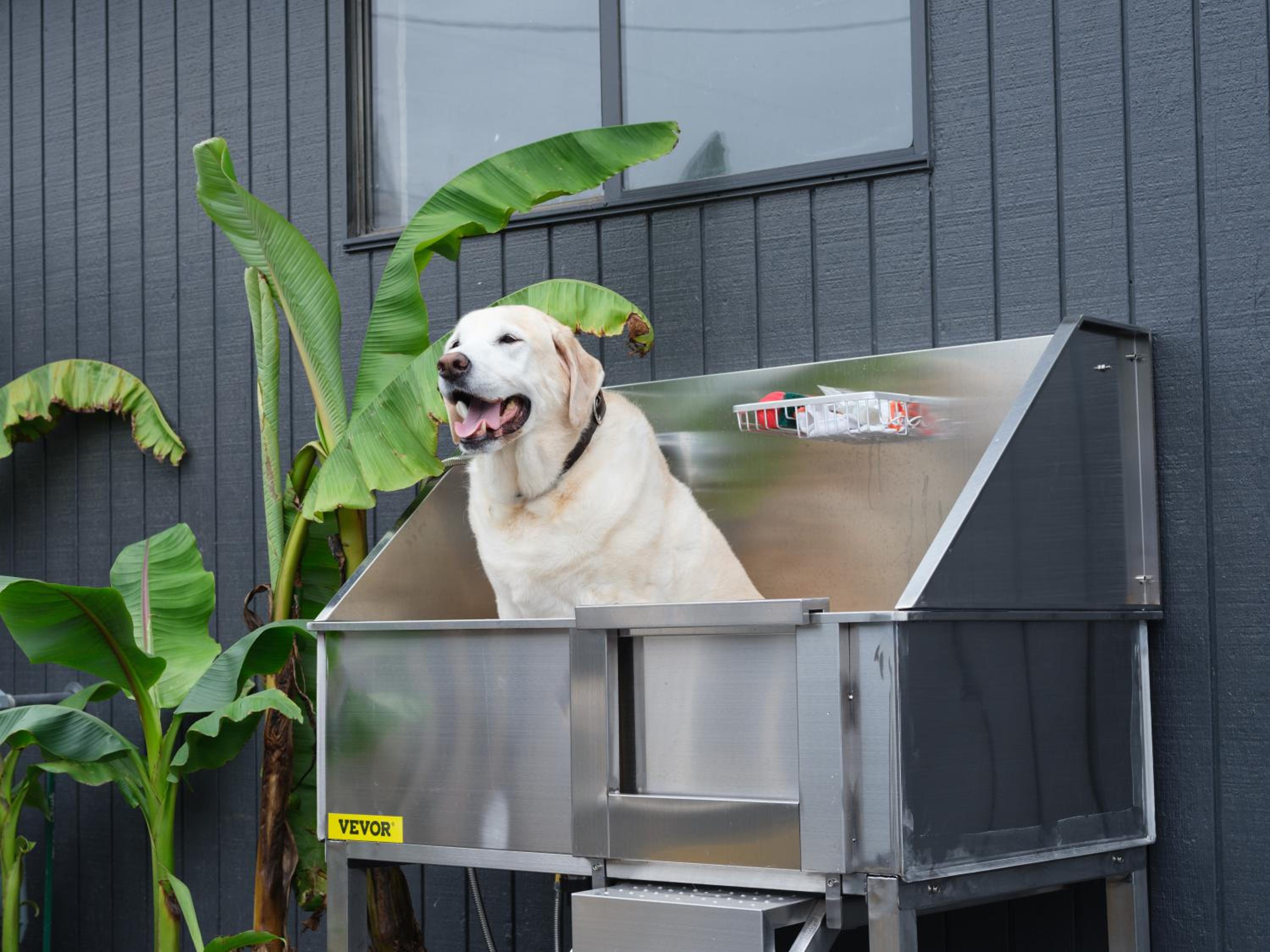 outdoor BBQ area
