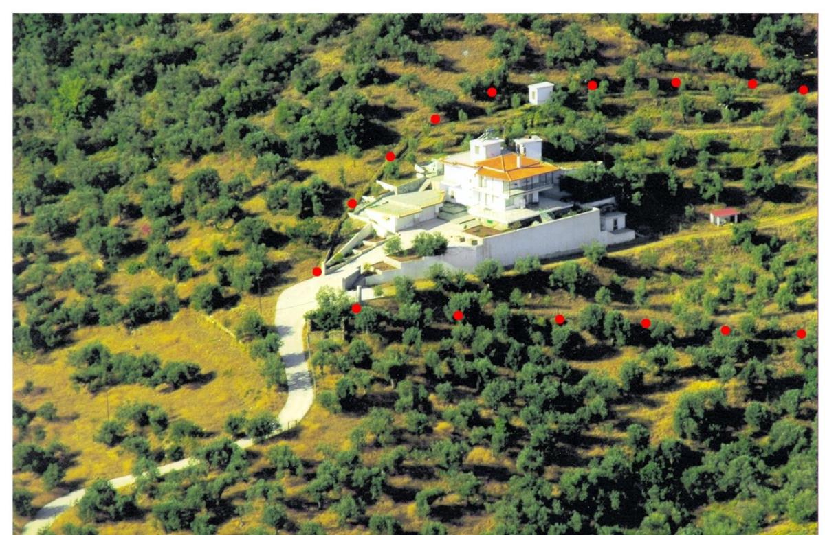 GEORGE'S VILLA photo 1