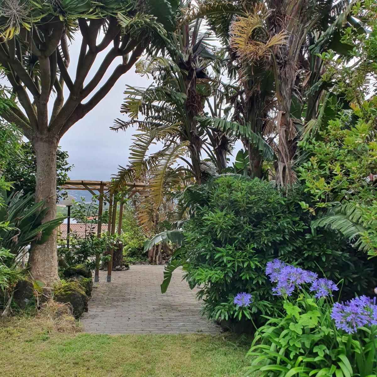 Casa Baleia á Vista