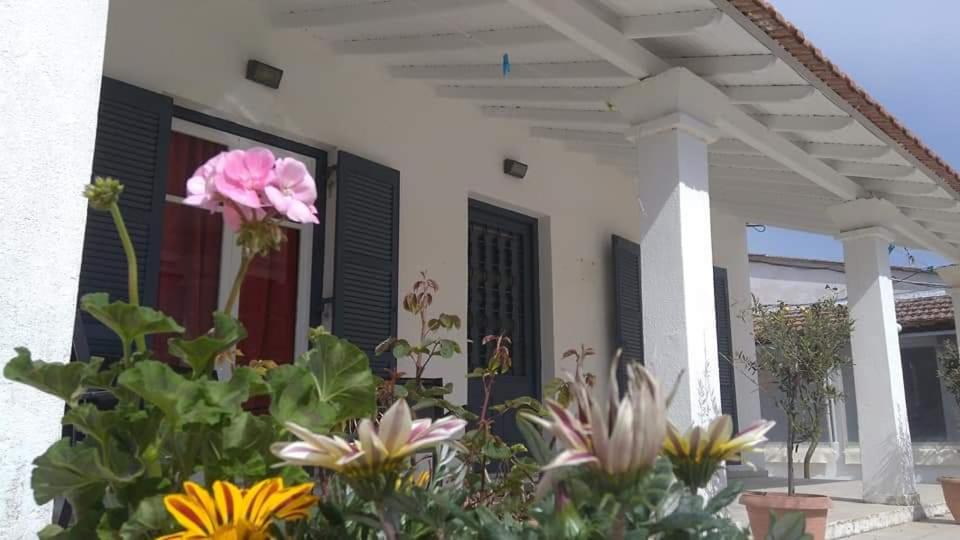 Villa Maria photo 1