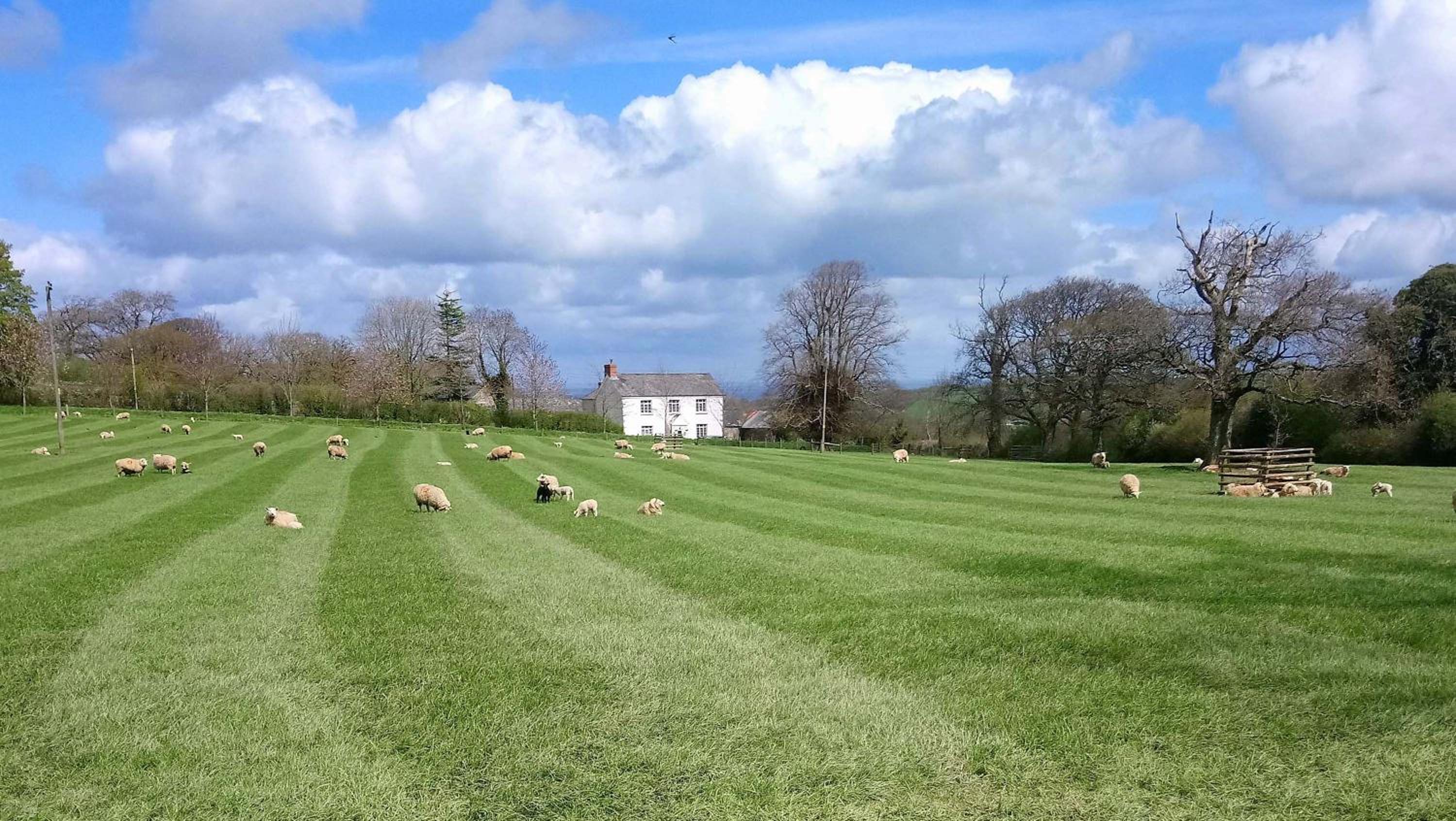 Okehampton Vacations - Lovaton Farmhouse - Property Image 89