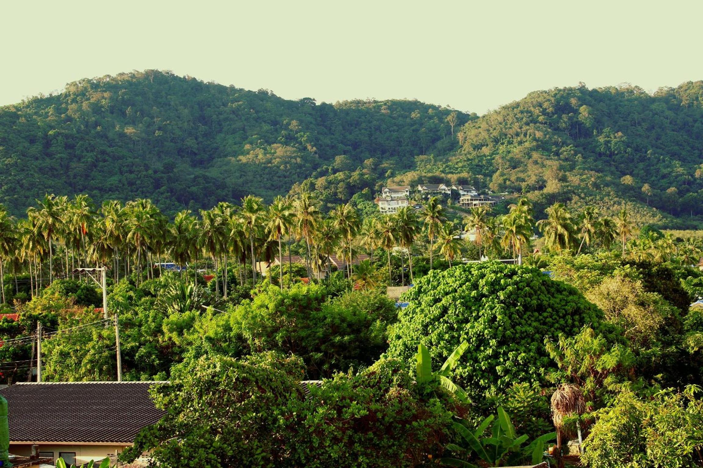 Tropical Sands
