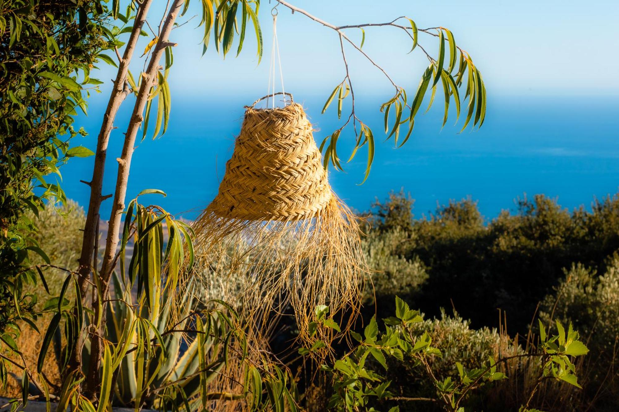 Campo Agave B&B