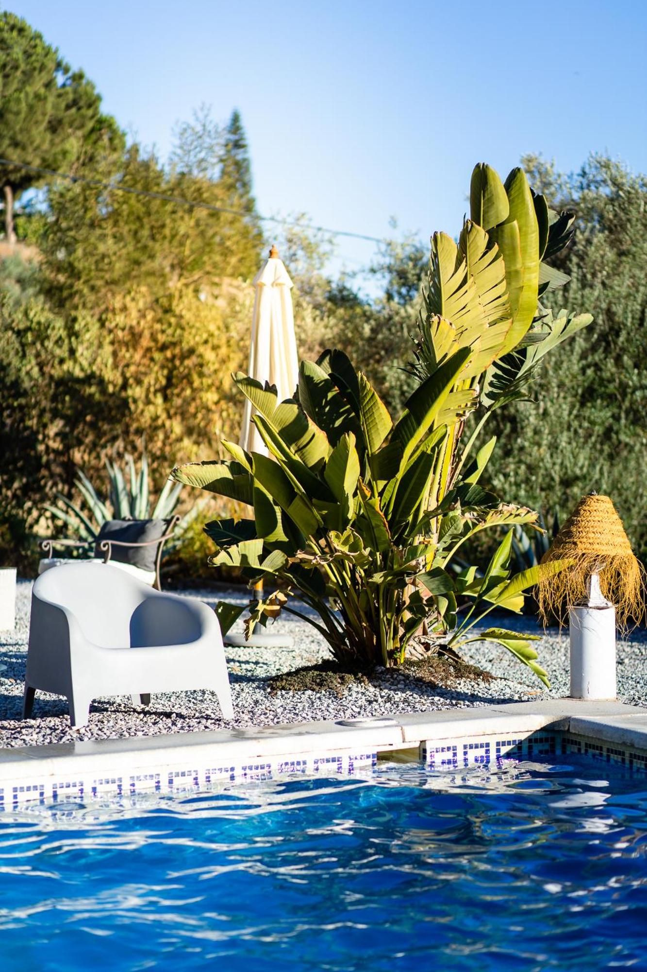 Campo Agave B&B