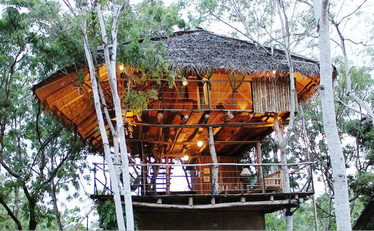 The Saraii Tree Lodge