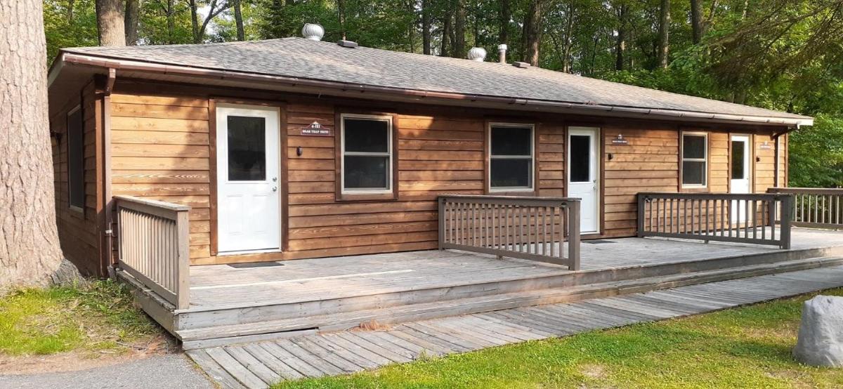 Black Bear Lodge Bear Trap #3