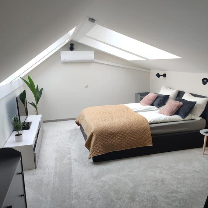 Most Wanted apartment. Old town.
