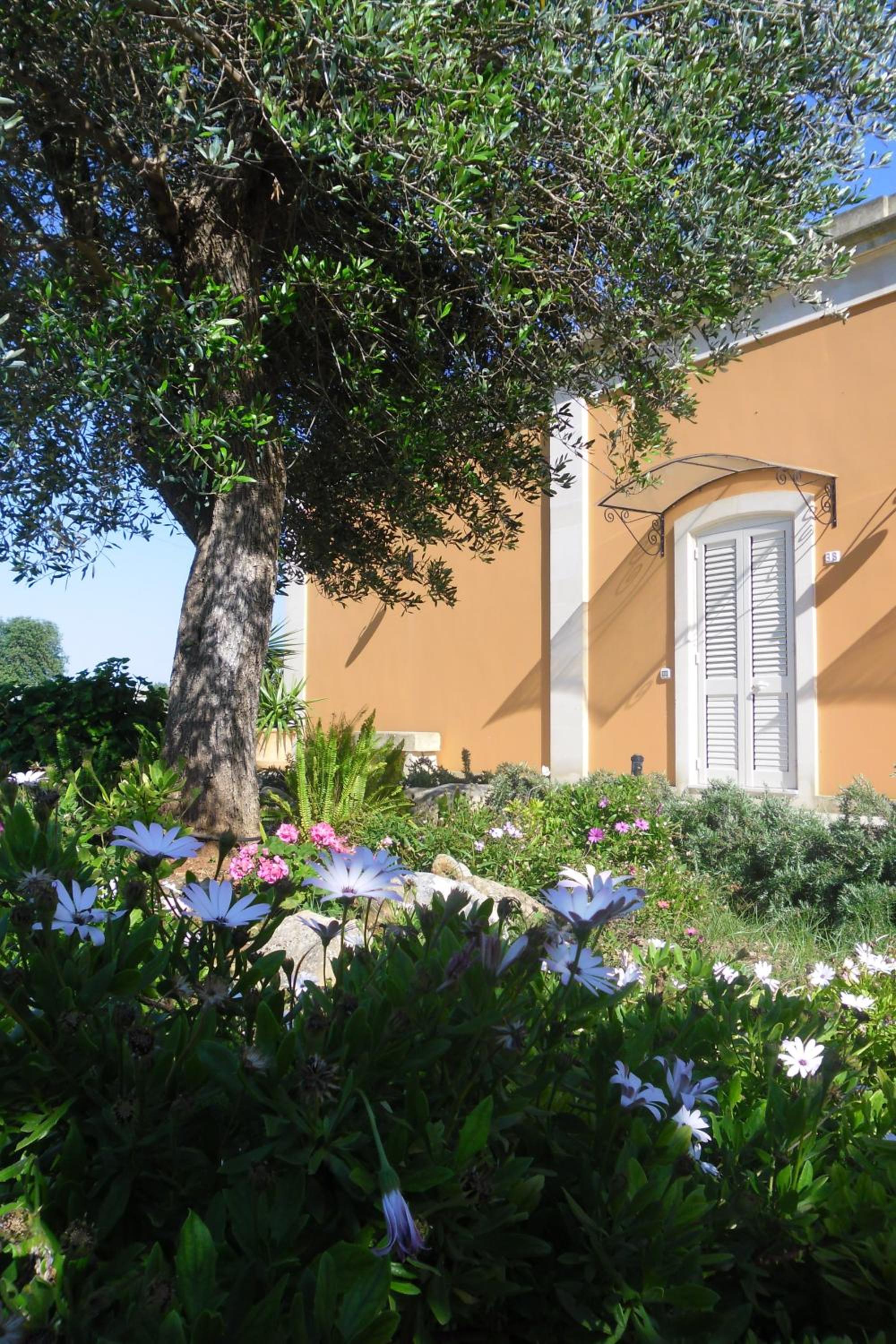 Tenuta Masseria del Gallo