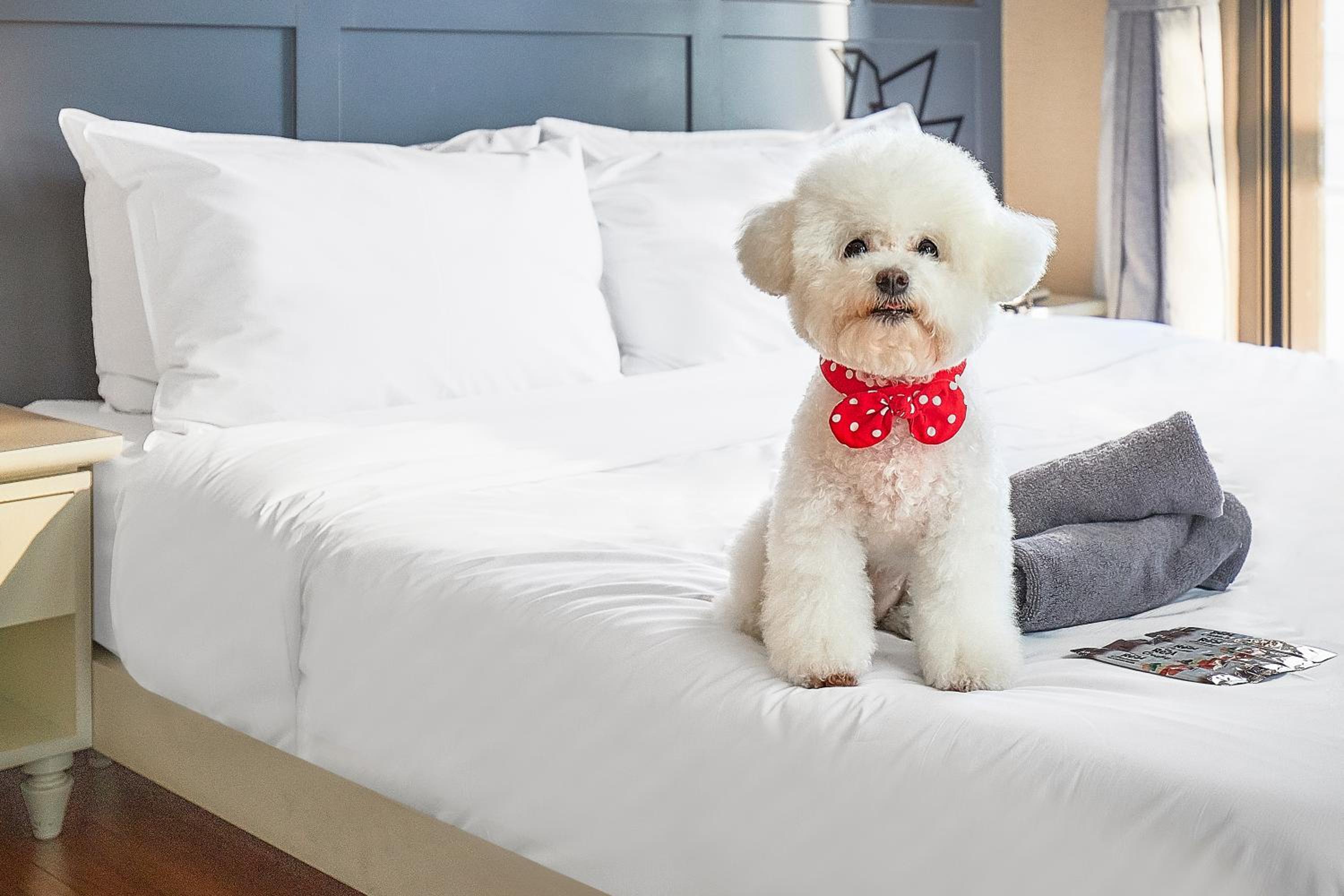 Hotel POCO Seongsu 79