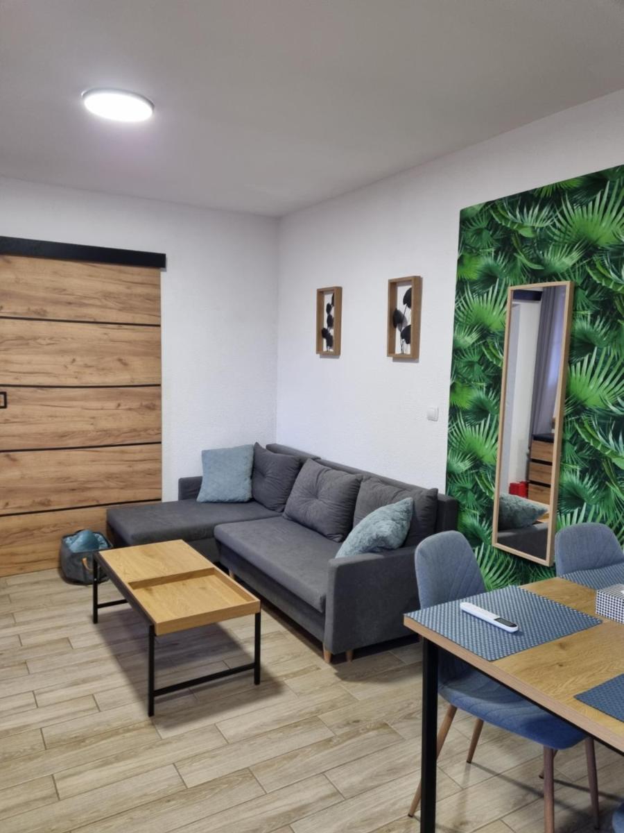 Apartament Nova Kamienica 1