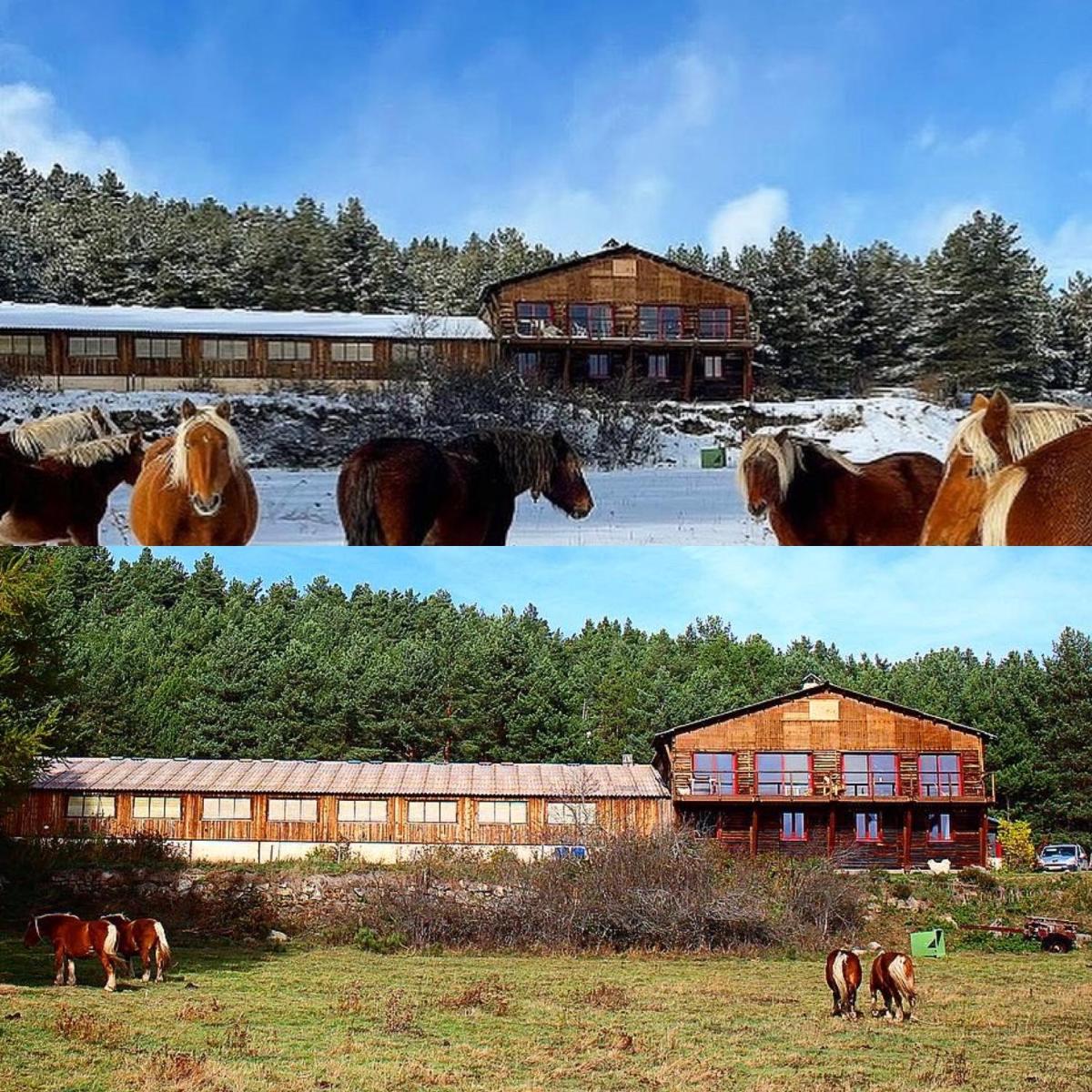 Gîte Ranch Le Serpolet
