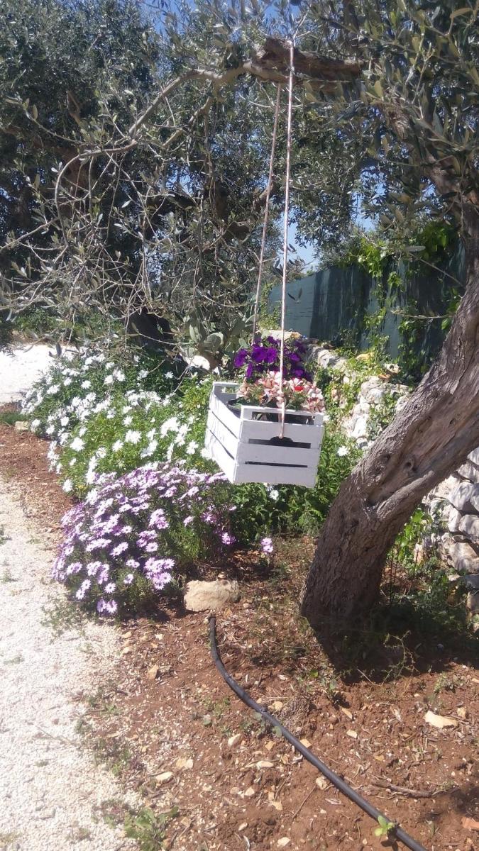 B&B Oceano