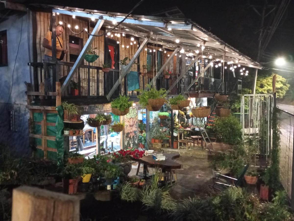 Casa Tranquilo Hostel