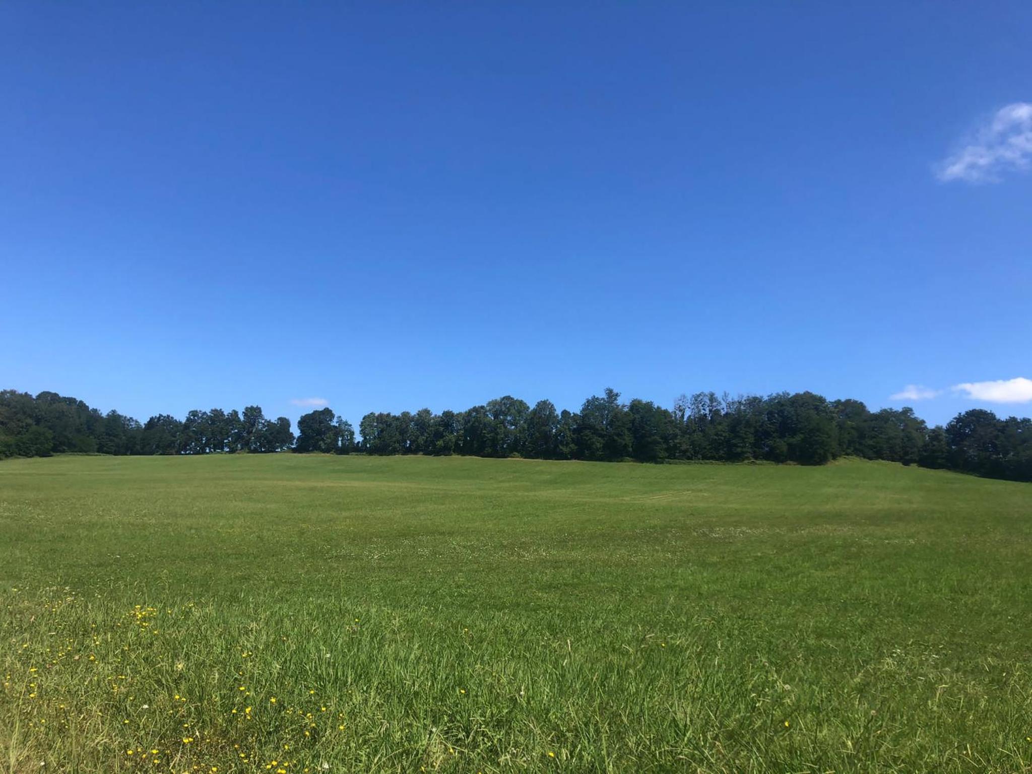 Domaine Harrieta