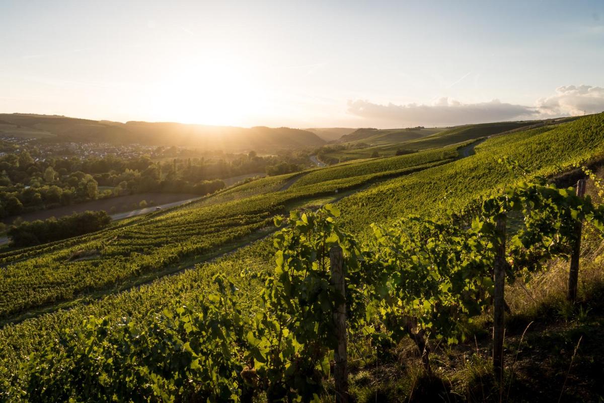 Weingut und Gästehaus Holger Alt view 5