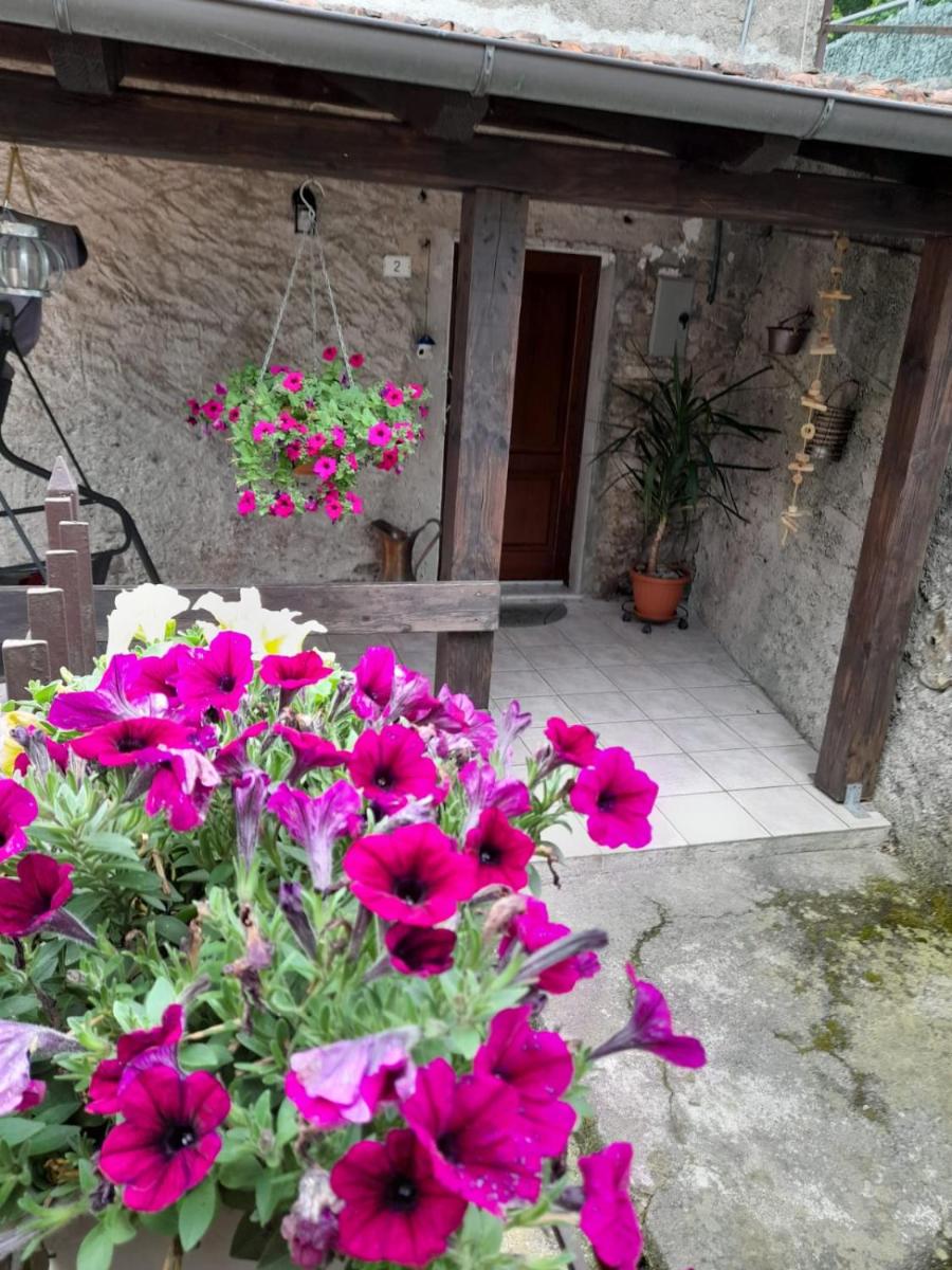 Casa vacanze Alloro photo 1
