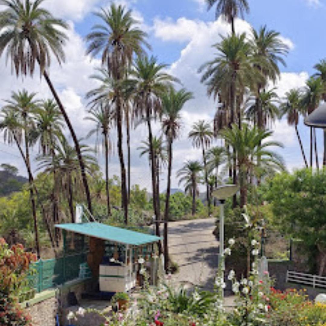 Hari Niwas - A Boutique Garden Resort Mount Abu - Property Image 87